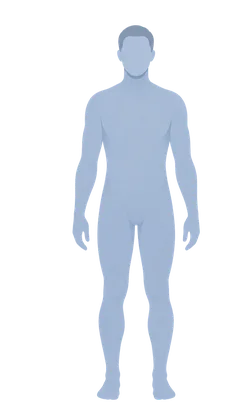 Illustrative body silhouette